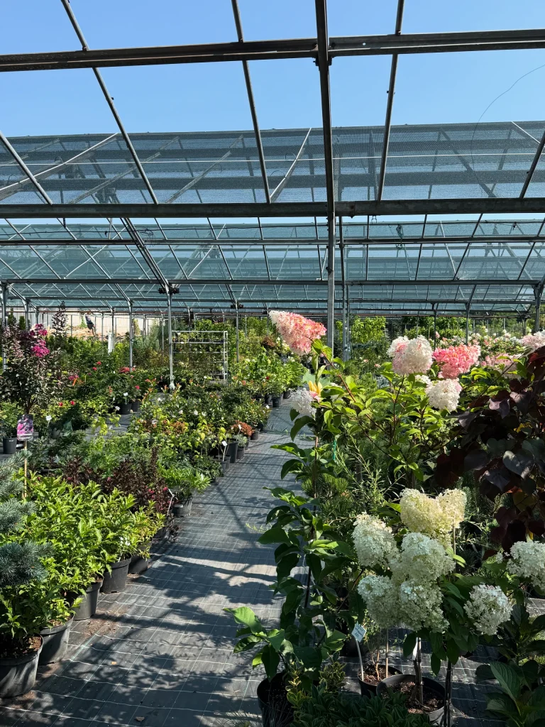 Lush greenhouse filled with various plants.