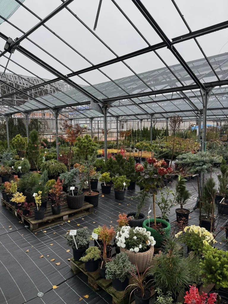 Lush greenhouse filled with various plants.