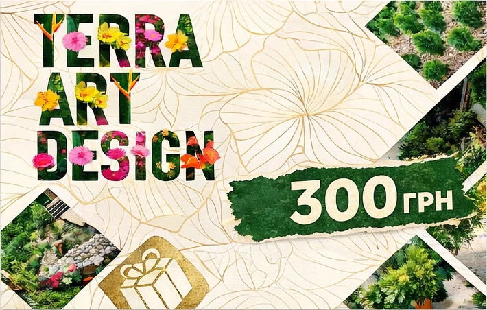 Floral design promotion with price